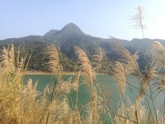 -羚羊峡古栈道森林公园