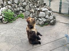 -成都动物园