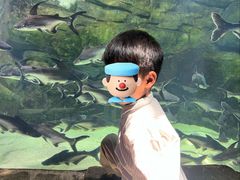 -泉城欧乐堡海洋极地世界