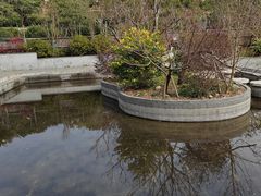 -雨花胜境