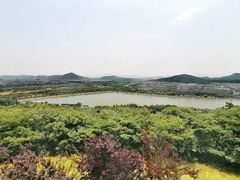 -羊山湖公园