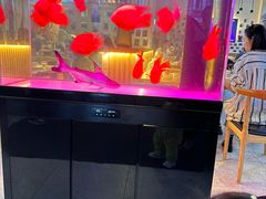 -五丁桥光头香辣蟹(望江橡树林店)