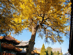-潭柘寺景区