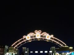 -武汉知音号