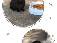 -俄罗斯风情小镇