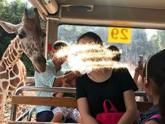 -清迈夜间动物园