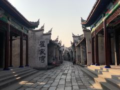 -洪湖生态旅游区