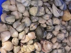 -北海金海湾红树林生态旅游区