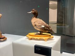 -中国湿地博物馆