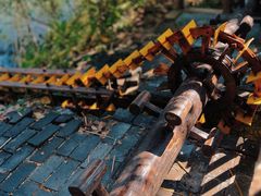 -溱湖国家湿地公园