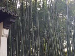 -汇龙潭