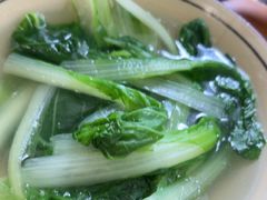 -玉滋補
