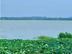 -七的湖·晚芳亭·阳澄湖农家菜·大闸蟹(莲花岛店)
