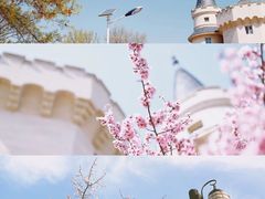 -北京张裕爱斐堡酒庄