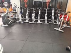 -健身专家Wellness Experts