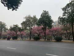 -成都市活水公园