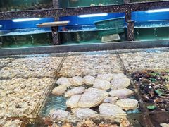 -国惠大酒楼(宝龙店)