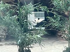 -石家庄市动物园