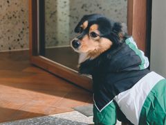 -Line 咖啡(石厦花园店)