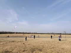 -汉长安城未央宫国家考古遗址公园