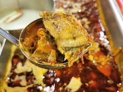 红汤梭边鱼锅-新辣道鱼火锅(世纪金源购物中心店)