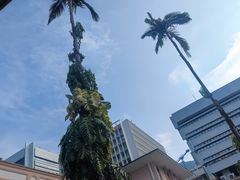 -香港大学