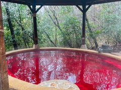 -天目湖涵田半山温泉