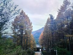 -九鼎铁刹山风景区