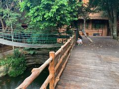 -海南槟榔谷黎苗文化旅游区