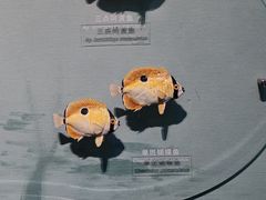 -中国湿地博物馆