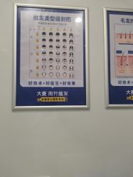 -大麦微针植发丨全国连锁