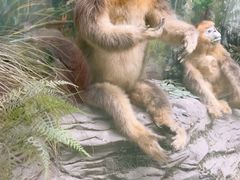 -国家自然博物馆