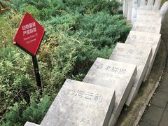 -北京麋鹿生态实验中心