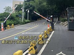 -火炉山森林公园