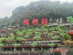 -枇杷园食为鲜火锅(南山店)