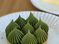 抹茶挞-猫里有甜