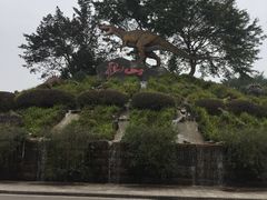 -自贡恐龙博物馆