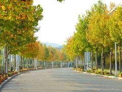 -济南国际园博园