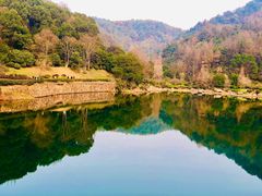 -桃花岭景区