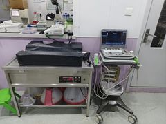 -A猫a狗全科·犬猫异宠·芥西宠物医院(南开总院)