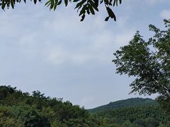 -天目湖松岭竹海漂流
