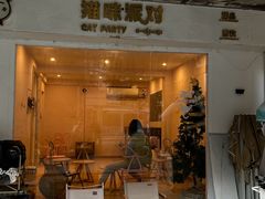 -猫咪派对(江南西店)