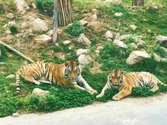 -西安秦岭野生动物园