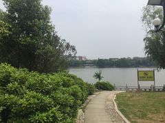 -葛仙湖公园