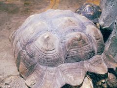 -石家庄市动物园