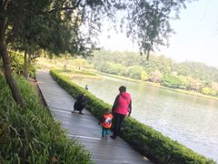 -南国桃园旅游度假区