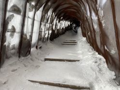 -大秃顶子山