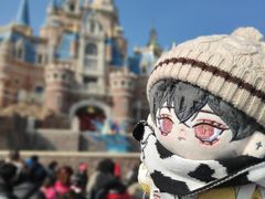 -上海迪士尼度假区