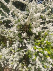 -北京亚运村美中宜和妇儿医院