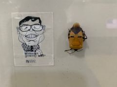 -上海大自然野生昆虫馆(东方明珠·爬宠昆虫探索中心)